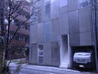 springsnow