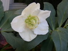 RIMG0857