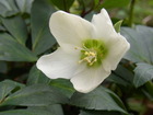 RIMG0103