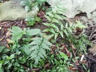 IMG_20200915_075859