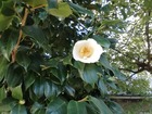 IMG_20191116_074726
