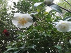 IMG_20200322_080543