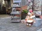 RIMG0655