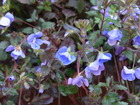 RIMG0863