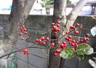 KIMG0597