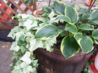 RIMG0274