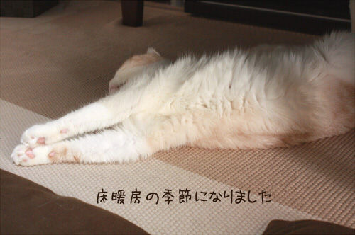 床暖房