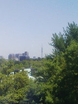 konorano0161