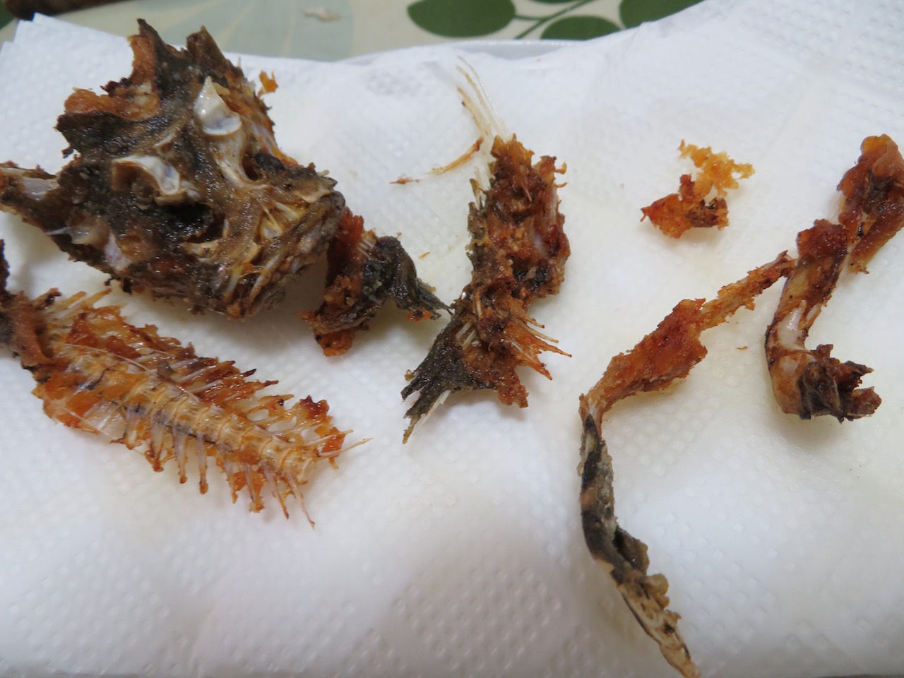 虎魚 おこぜ の唐揚げ この世を華とするために