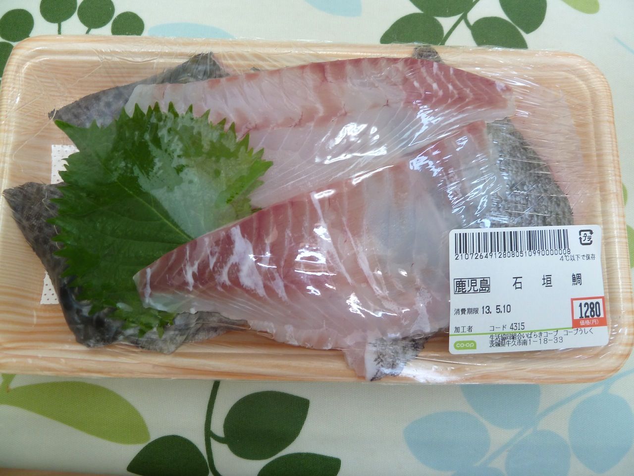 石垣鯛 イシガキダイ この世を華とするために