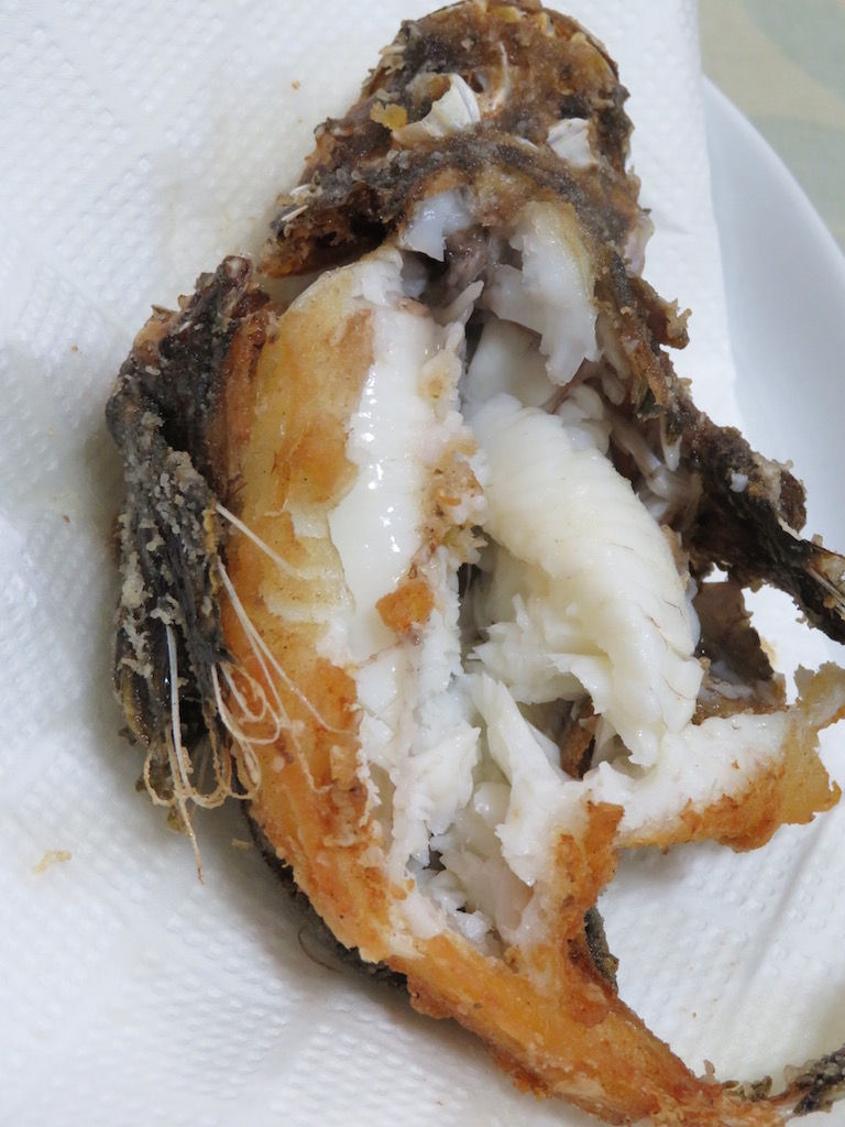 虎魚 おこぜ の唐揚げ この世を華とするために 虎魚 おこぜ の唐揚げ この世を華とするために