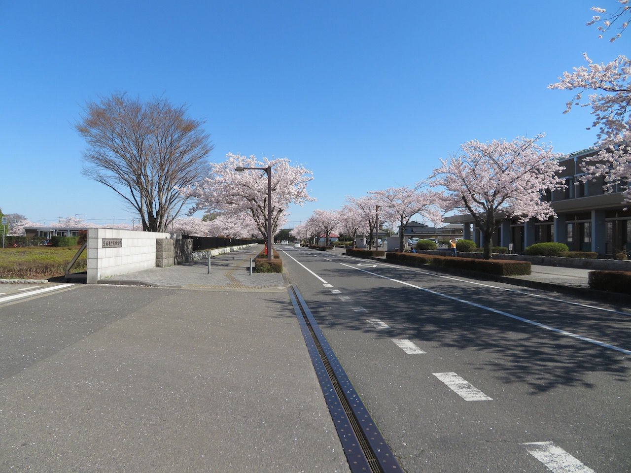 大学 医療 茨城 県立