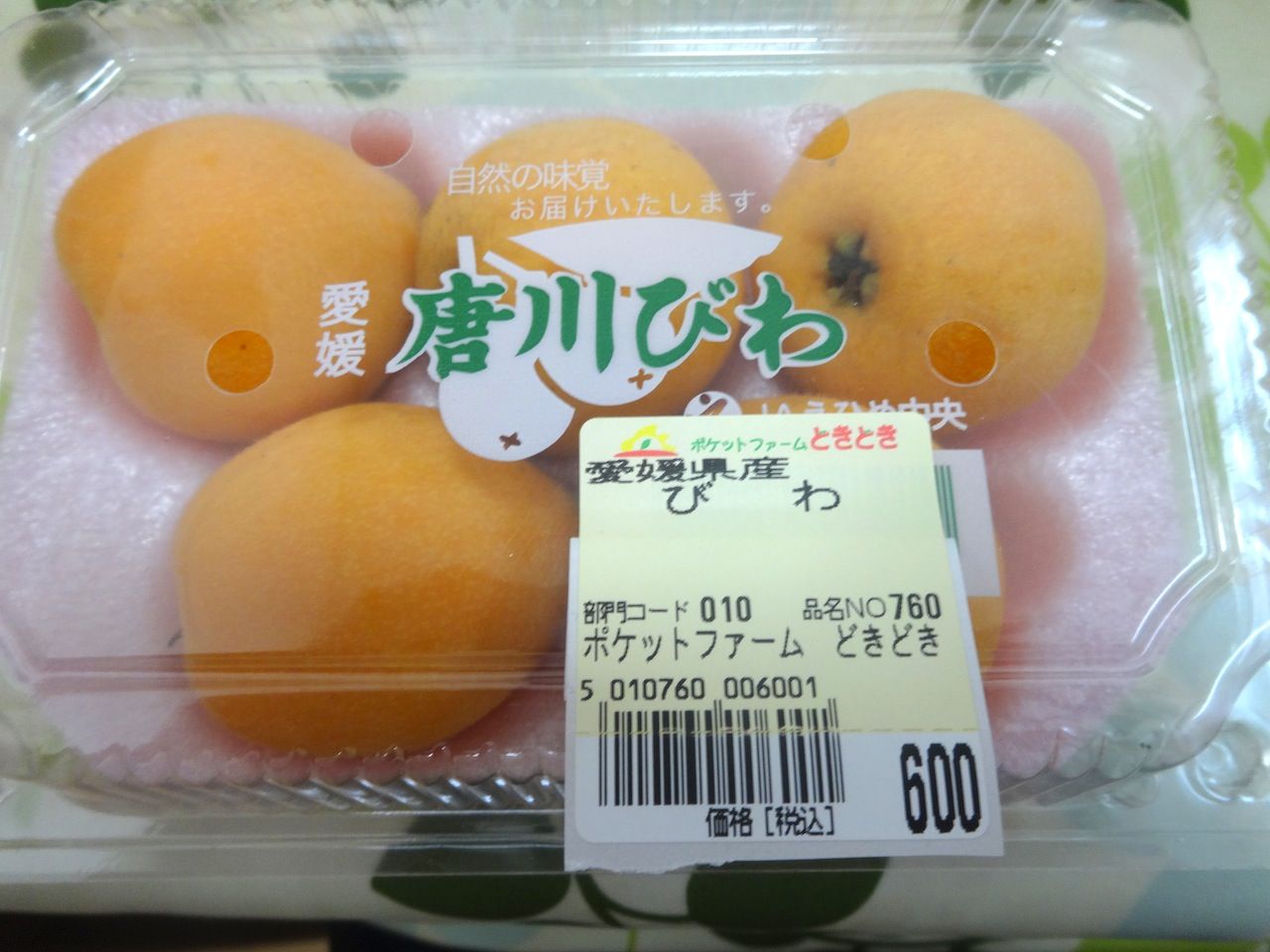 愛媛県産びわ この世を華とするために 愛媛県産びわ この世を華とするために