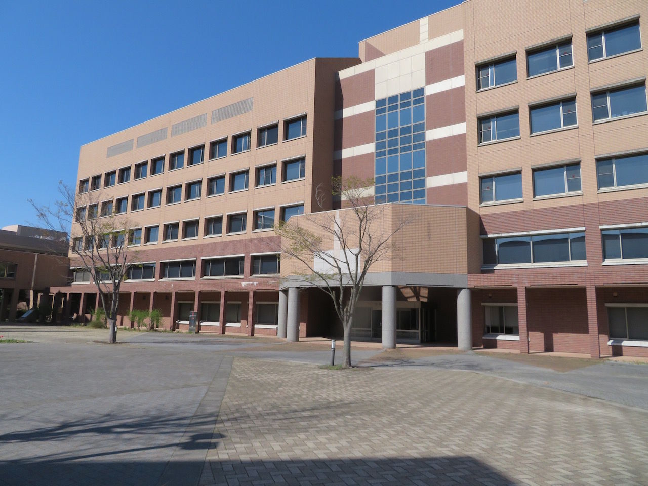 この世を華とするために 桜が見事に満開 茨城県立医療大学