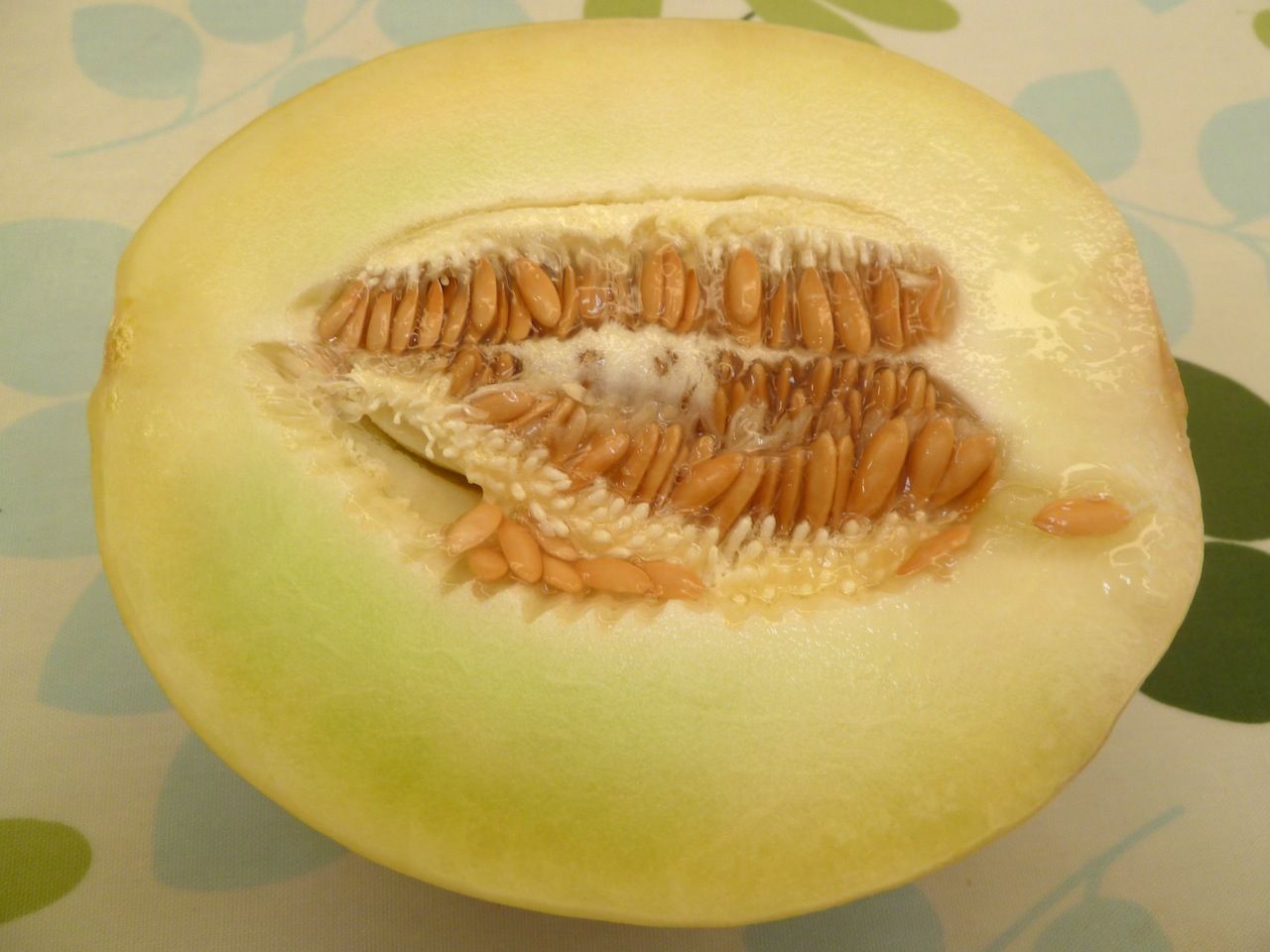 イメージカタログ おしゃれな ハ ネージュ メロン 食べ頃 イメージカタログ おしゃれな ハ ネージュ メロン 食べ頃