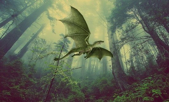 dragon-g0148bf21c_640