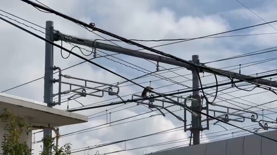 videoframe_100 (2)_co