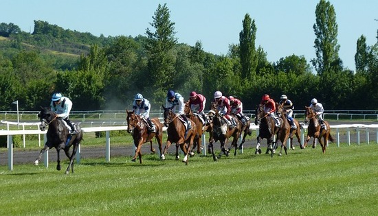 horse-race-g11b46a5ab_640