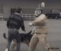 犬gifスレ イヌ キャベツが好きすぎる コノユビ