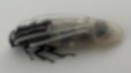 165d2d667-b108-4d77-94aa-c531c04d3d82のコピー_co