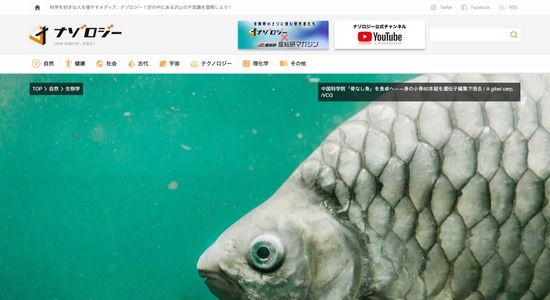 FC69620260110060725_co