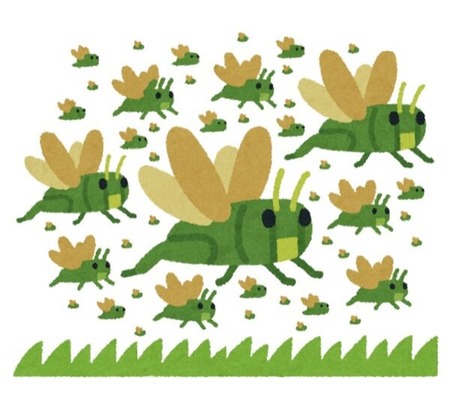 bug_batta_kougaiのコピー
