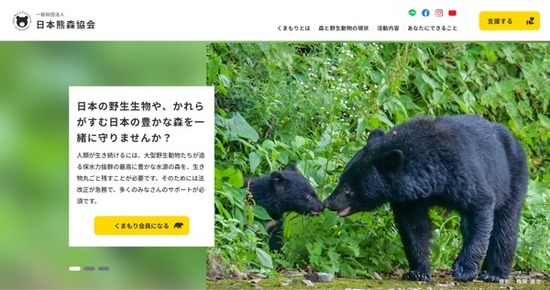 trcvyubhnjのコピー