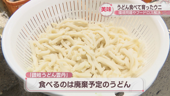 15c00ff2-fd44-44d7-8b83-6bf13693fb30