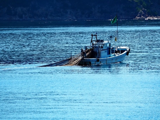 ccd5e1f31db4d0db8b20cc15dc4a6214_s