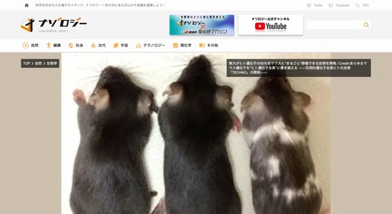 FC78020260119033232_co