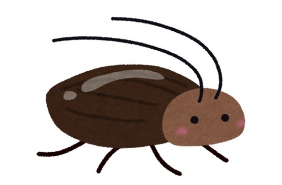 ゴキブリ