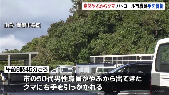 5d973f16-5eee-42c5-bcc8-ddeb82d10931_co