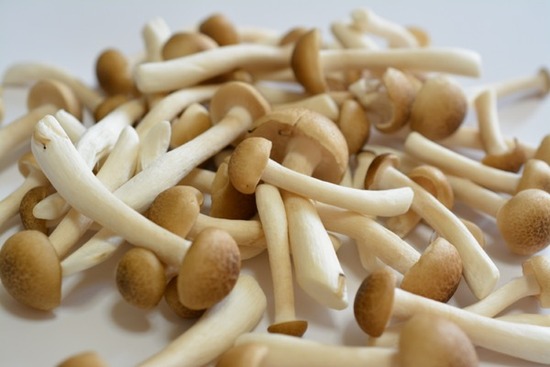 0adpDSC_3162のコピー