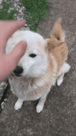 UxkqcBY