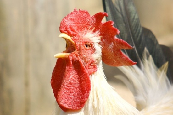 695215_sのコピー