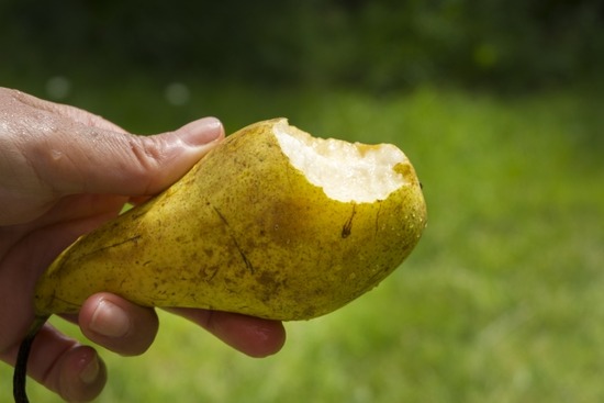 4dc53e2b42ddc51b962b1fd59ebf3053_s