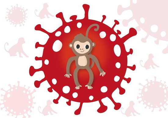 monkeypox-g1357eda12_640