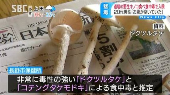 guyiのコピー
