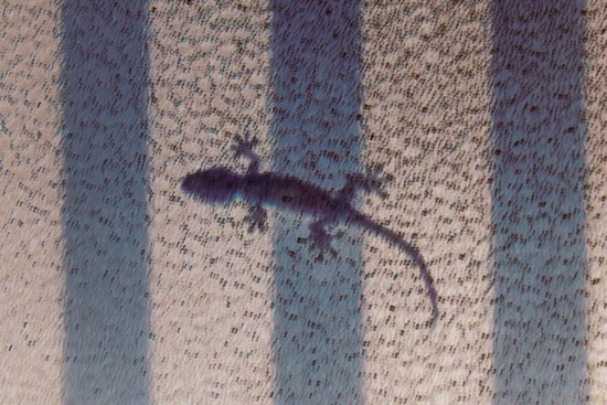 bb4676b631a74991ad97d5dc2ded1fe0_s