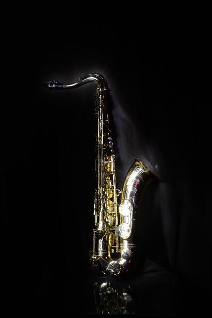 sax-gda839552c_640