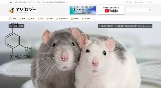 FC81120260123052603_co