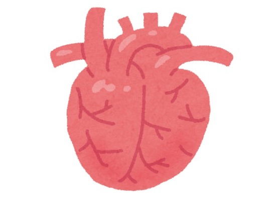 th_スクリーンショット 2022-05-12 19.05.04