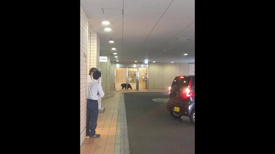 db777e94-9f07-4d1e-ae57-e2a95ece9590_co