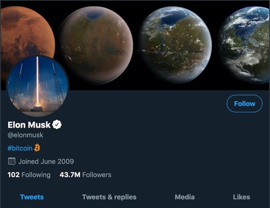 muskbitcoin012921のコピー
