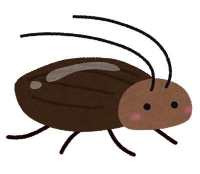 th_bug_gokiburi