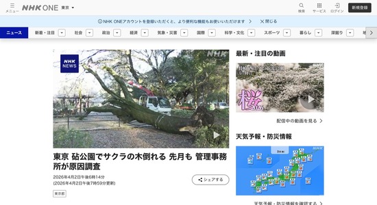 【東京】砧公園でサクラの木が倒れる　先月も2本倒れたばかり