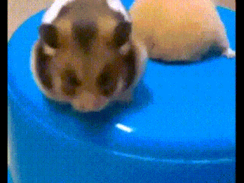 a3rbrFP