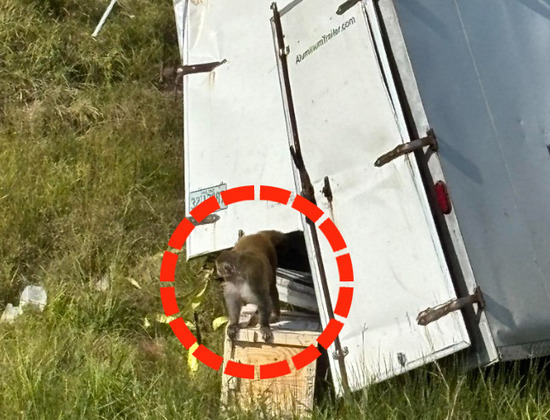 40f7aa2a-6115-4852-b151-355efa2abd9e_co