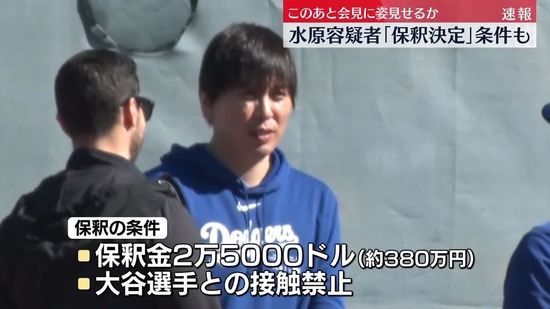 6tg8hiuo