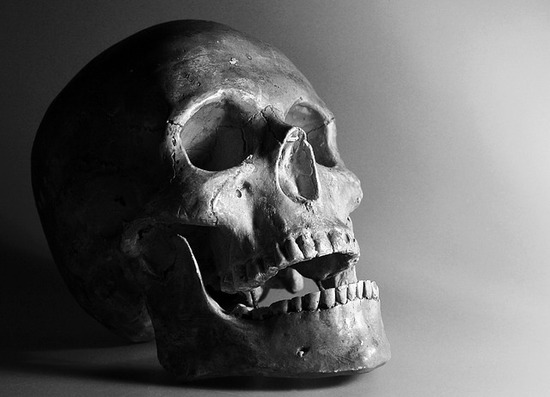 skull-449550_640